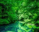 あなたの人生丸裸にします 真剣な相談から軽い愚痴までひろくお待ちしております！ イメージ6