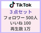 TikTokのフォロワー等3点セットで増やします ⭐お試しプラン⭐フォロワー・いいね・再生回数すべて増やします イメージ3