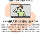 UGC・クチコミが生まれるSNS投稿文を作成します 食品・外食専門｜猫の手も借りたいときの投稿文作成 イメージ2