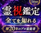 プロ霊能者が貴方の【知りたい事全て】を霊視で視ます 霊視/透視の最高峰の鑑定で、貴方の悩みを解決へ導きます イメージ1
