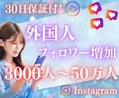 Instagramの外国人フォロワーを増加します 30日保証！複数垢に振り分け、ゆっくりフォロワー増加も対応！ イメージ1