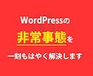 WordPressの緊急トラブル請け負います 一刻も早くWordPressを復旧したいあなたへ イメージ1