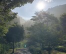 あちこちに出かけて撮影した写真を提供します 自然、動物、遊びが大好きです私が出逢った景色を観て下さい イメージ4