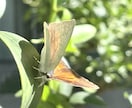 自分を愛せるよう滞りを流し癒しのヒーリングします クリスタルヒーリング☆心身緩ませ自然の状態に戻したい方へ イメージ3