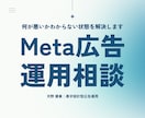 Meta広告診断｜利益が出ない悩みを解決します 現役運用者がアカウント診断や数値の見方、改善案をアドバイス。 イメージ1