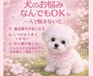子犬の悩み相談のります 子犬の飼い方・しつけ相談、なんでもOK イメージ1