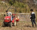 自然栽培の方法教えます、農業の相談乗ります 農業始めたい方に無農薬、無肥料での野菜の育て方教えます！ イメージ4