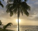 ハワイのネイティブと英会話学べます 仮想ハワイ留学(ハワイの景色と英語学習堪能)体験！ イメージ1