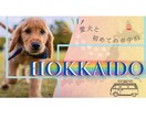再生数UP！YouTubeサムネイル制作いたします 動画の顔サムネイルであなたのチャンネルをサポートします！ イメージ3