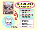 愛犬のお顔イラスト描きます ほっこり優しいタッチの似顔絵アイコンにもぴったり イメージ5