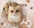 猫のお悩み相談室「にゃ〜」で聞きます 深いお悩みも「猫」に相談すると軽く解決するかもにゃ〜 イメージ10