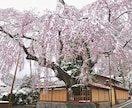 栃木（日光市）の観光・おでかけをサポートします 日光や鬼怒川の観光、旅をする方。出張やテレワークの方。 イメージ6