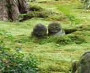 恋愛、仕事、環境、啓発、様々なお悩みにお応えします 多くの問題に直面し乗り越えてきたからこそできるアドバイス。 イメージ2