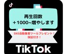 TIKTOK再生回数１０００~増やします SNS自動集客ツールプレゼント！再配布権付 イメージ1