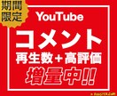 YouTube日本人コメントが増えるよう拡散します ＋5コメント/30高評価/500再生　SEO効果あり イメージ1