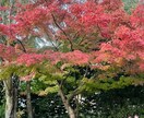 何気ない日にもお話相手になります 誰でもいいから話したい人必見恋愛、雑談、日頃の悩みを相談。 イメージ1