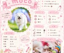 うちの子プロフィール帳 はじめます 大切なうちの子の魅力を、かわいく1枚にぎゅっと詰め込みます イメージ2