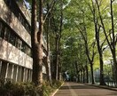 帰国子女の偏差値76高校生が中学の英語を教えます 1回2問まで丁寧に解答解説を作ります。 イメージ1