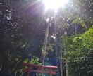 やり取りの中で　降りてきた過去世の姿をお伝えします あなたの過去世　宇宙からおろしてみます イメージ1