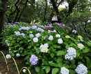 育休中主婦がお悩み（仕事、家庭、恋愛、）を聞きます どんな小さなお悩みでも気軽に話して下さい(^o^) イメージ2