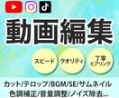 わかりやすく伝わる動画作ります 各SNSショート向け、リズミカルでテンポの良い動画 イメージ1