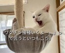 気軽に使ってね♪あなたの女友達になります 女性と話す練習や恋愛相談・雑談・愚痴・優しく受けとめます。 イメージ9