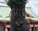 守護霊様から言ノ葉♦️聴こえるままお届けします 鑑定歴18年＊不安もやもや｜好転のきっかけを霊聴から伝えます イメージ7