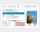 運転免許証そっくりなICカードステッカー作ります ペットの写真で作って、Suicaなどに貼っちゃおう！ イメージ2