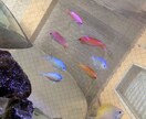 愚痴やご相談をお聞かせください。お待ちしております 気軽にお話できる人をめざしてます、気持ちが軽くなれば幸いです イメージ3
