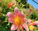 1分〜OK◎日頃の愚痴や悩みを否定せずに傾聴します あなたの想いに共感し、味方になります。 イメージ3