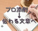 ライティング技術アップ！既存文章をプロが添削します 記事のNG点が分からない……その答え、一緒に見つけましょう！ イメージ1