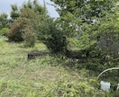 元森林組合×宅建士！空き地の草刈り代行します 立ち会い不要！不動産と山のプロが空き地などの草を刈ります イメージ6
