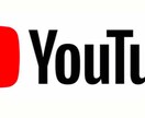 YouTubeのライブ配信と投稿コンサルします YouTubeのライブ配信と投稿動画のコンサルタント致します イメージ1