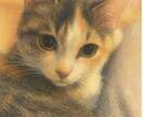 タロット＆星読みでメッセージを届けます ねこちゃんタロット中心に、そっと心を軽くするお手伝いをします イメージ3