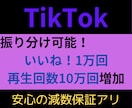 TikTokのいいね！と再生回数増やします いいね！1万回・再生回数10万回増やします！振り分け可能！ イメージ1