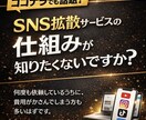 SNS拡散サービスの仕入れ先を５個教えます 拡散サービスを購入する前にまずはこちらを試してください！ イメージ2
