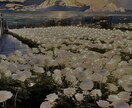 貴方の好きな人の気持ちを教えます あなたの事を想い人がどう思ってるか占います♩正直に伝えます。 イメージ1