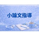 プロ講師が小論文のご指導します 30年の経験から一人ひとりに寄り添った指導 イメージ1