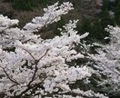人生の悩み相談現役助産師が、相談アドバイスします 虐待いじめ高校中退から助産師。不登校からむすめを医療者に イメージ2