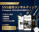 SNS運用を3ヶ月伴走型でコンサルします X・Instagram・TikTokをまとめて支援 イメージ1