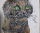 猫の似顔絵描きます 色鉛筆画で写真そっくりに描きます。 イメージ3