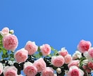 １分だけでもお話し相手になります ひとりで寂しい時は、お話ししましょう イメージ3