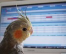 負け組トレーダーの「逆を行けば」本質が見えてきます 負け組が理解していない「本当の意味での資金管理」を伝授します イメージ2