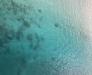今のあなたに必要なメッセージをお届けします 魂を生きるための愛と喜び溢れるリーディング イメージ5