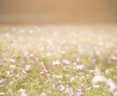 恋愛タロット！結果をありのままお伝えいたします 【特別価格】恋愛に特化した鑑定です。結婚片想い不倫復縁など イメージ5