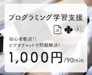 初心者向けにプログラミングを解説します 画面共有をしながらエラー対処・システム開発を支援します イメージ1