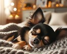 初回限定価格｜ペットを丁寧にヒーリングいたします 大切なペットに元気でいてほしい飼い主様のためのサービスです イメージ1