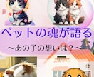 大切なペットと繋がり霊視鑑定とヒーリングを致します 貴方の知りたい家族の気持ちをお伝えします☆* イメージ1