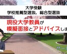 学校推薦型，総合型選抜の大学入試の模擬面接をします 現役大学教員視点でアドバイスをします（文系学部対象） イメージ2