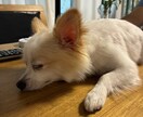 辛いお悩み、なんでもお聞きします 社会不安障害、産後うつを経験。40才薬剤師ママのお悩み相談室 イメージ1